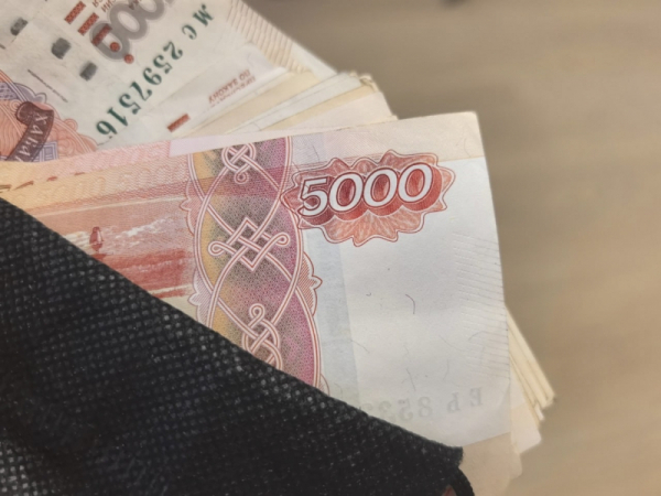 Названы даты апрельских выплат детских пособий в Новосибирске