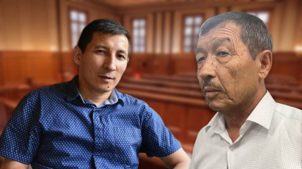 Брат дипломата отрицает побои и истязания Карины Мамаш