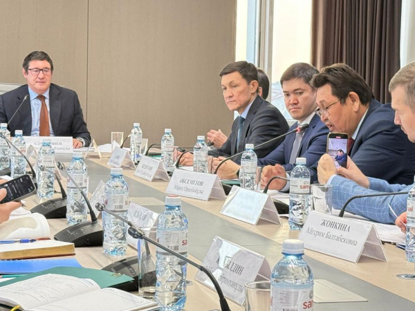 Определено название первой АЭС Казахстана