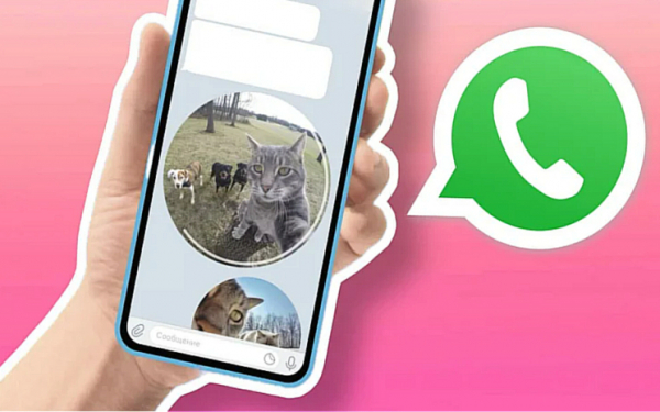 «Кружки» из Telegram появились в WhatsApp