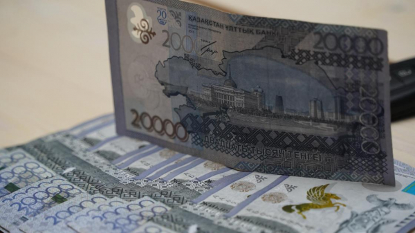 Казахстанец выплатил 3,5 млн тенге, чтобы выехать за границу