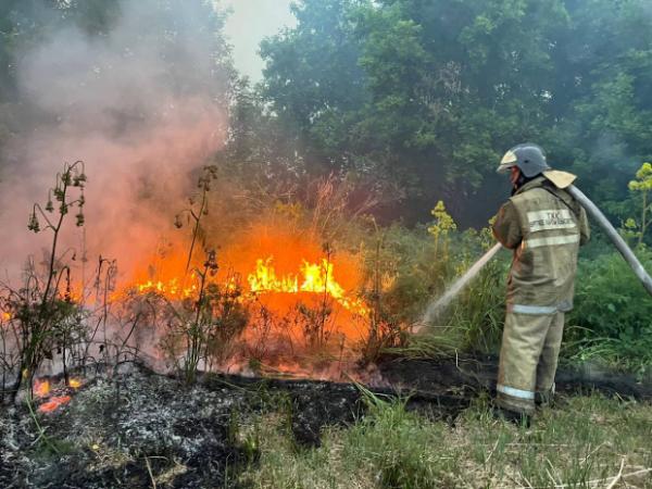 Более 160 спасателей тушат пожар в Шетском районе Карагандинской области