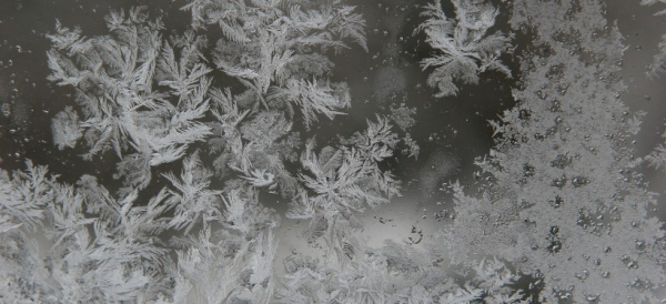 Усиление морозов в ближайшие дни прогнозируют специалисты Казгидромета