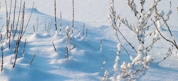 Дождь, снегопады и метель: о погоде по Казахстану в ближайшие три дня рассказали синоптики