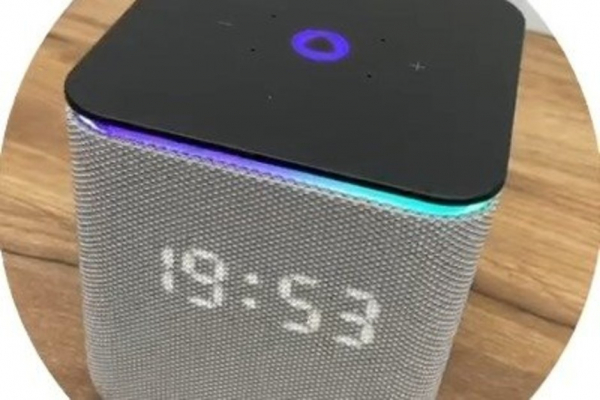 Уроженец Татарстана пожаловался Мизулиной на &laquo;Яндекс.Алису&raquo; из-за песни &laquo;День победы&raquo;