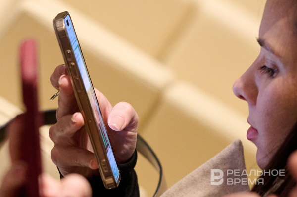 Минцифры включило новые сайты в белый список