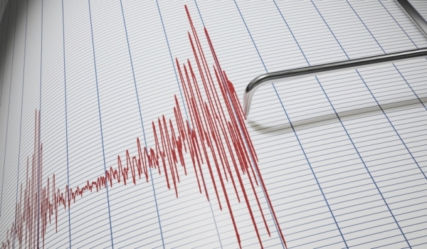 Ряд землетрясений зафиксировали сейсмологи разных стран