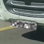 Водитель спрятал казахстанские номера под грузинскими и попался полиции (видео)